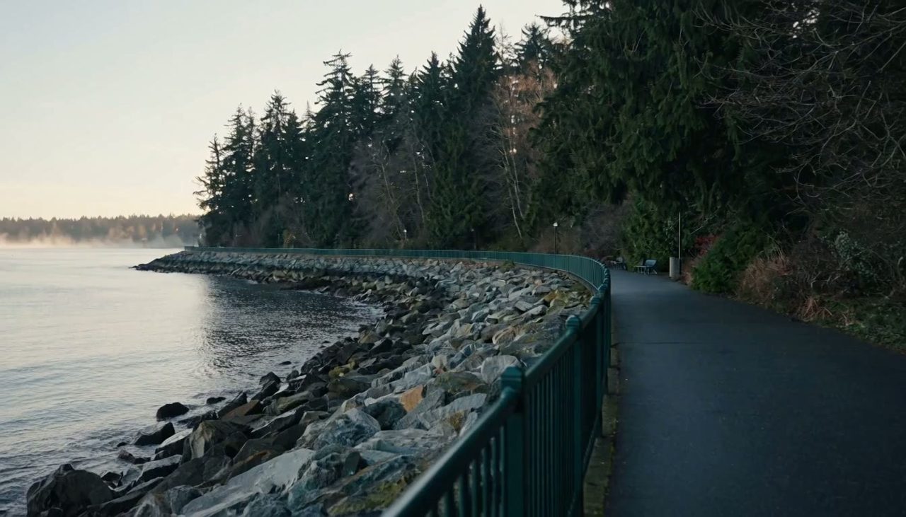 Seawall Fog at First Light